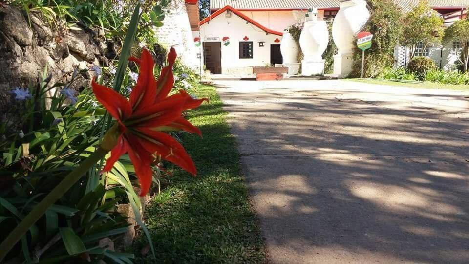 Pousada El Brujo Monte Verde  Eksteriør bilde